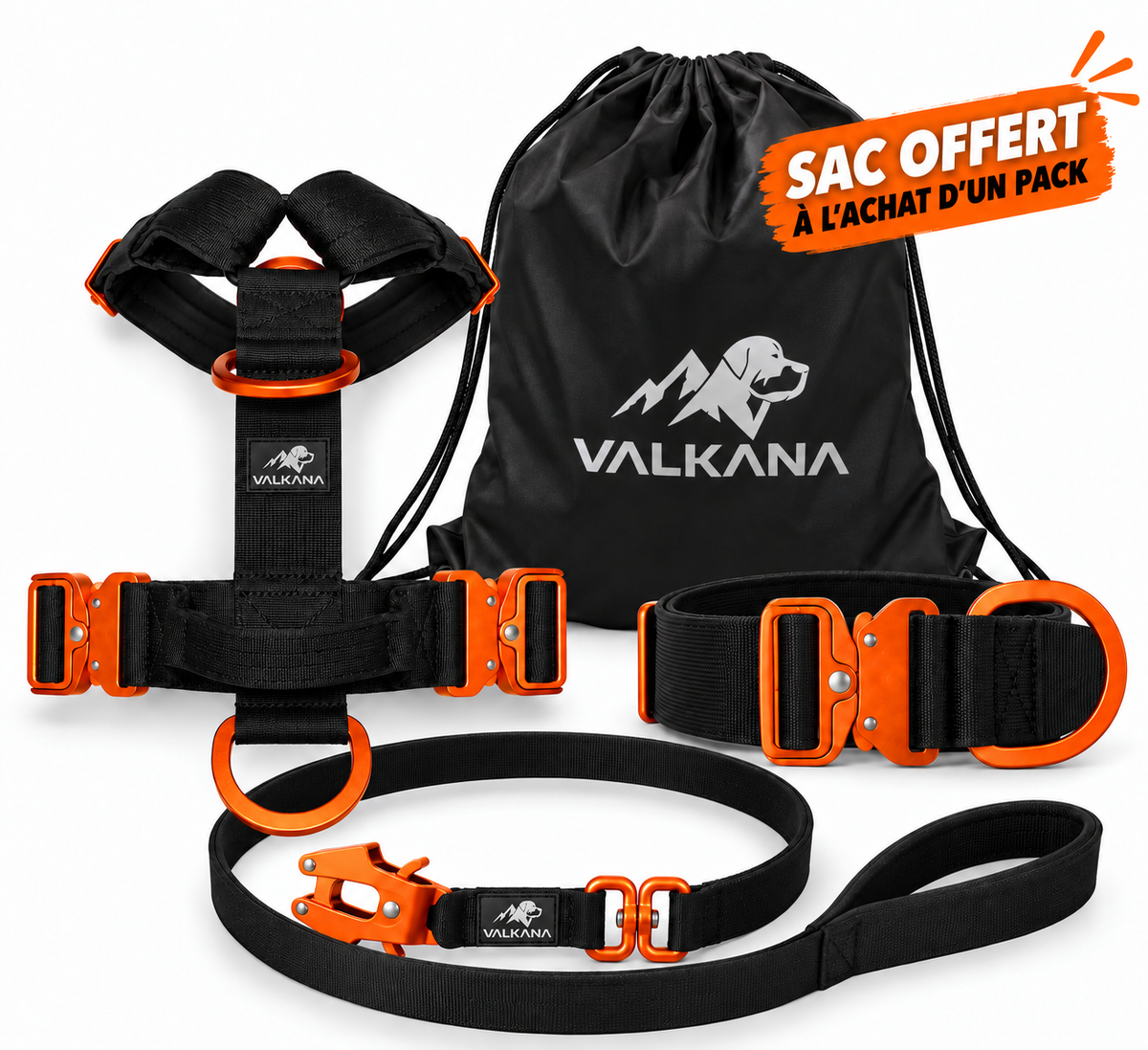 Pack Adventure – Harnais, Collier & Laisse